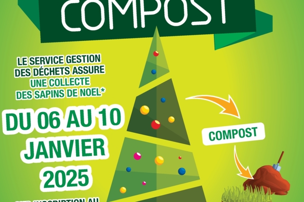 Faire de votre sapin un compost