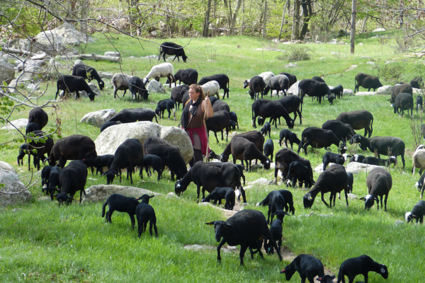 GAEC La Ferme du Mazoyer