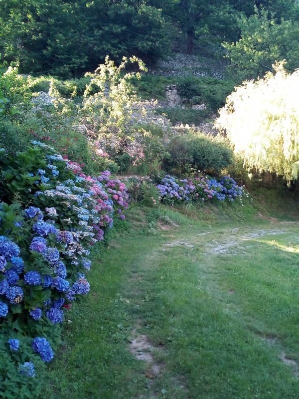 Gîte les Hortensias