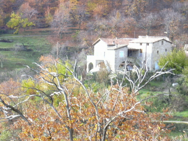 Gîte les Hortensias