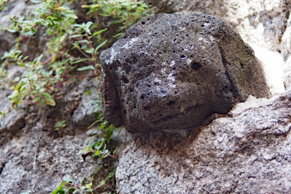 Têtes sculptées