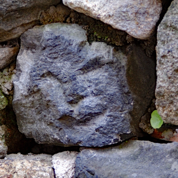Têtes sculptées