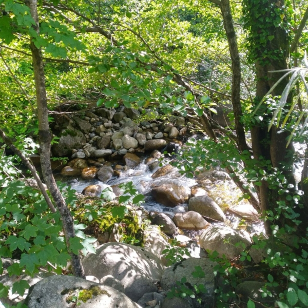 Le Chalet de Bénédicte et Loïc