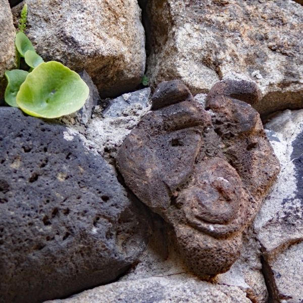Têtes sculptées