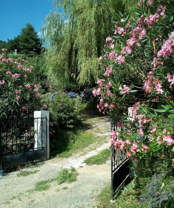 Gîte les Hortensias