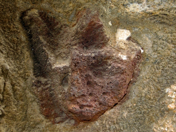 Têtes sculptées