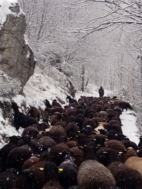 GAEC La Ferme du Mazoyer