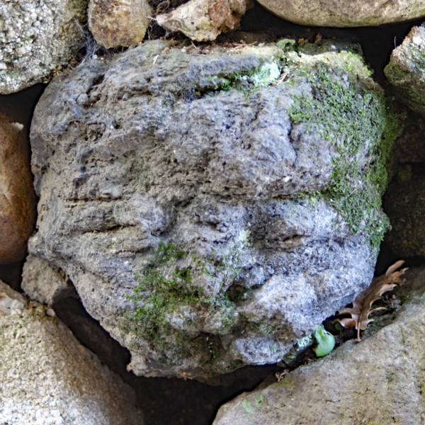 Têtes sculptées