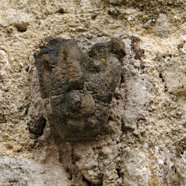 Têtes sculptées