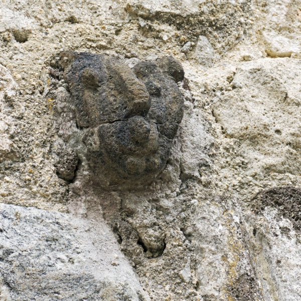 Têtes sculptées